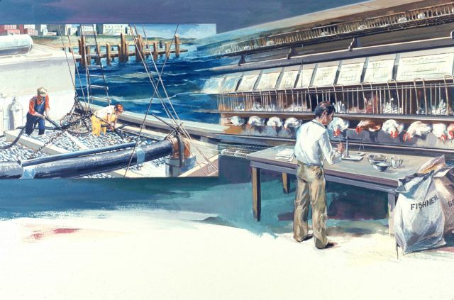 A little-known aspect of the U.S Picture