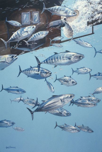 Behavior studies are conducted from underwater observation chamber on BCF ship CHARLES H Picture
