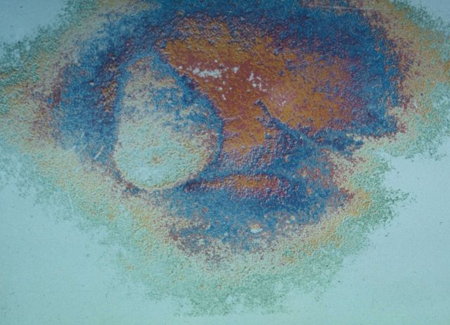 Density and color enhancement of photograph of fish school and contrail by Philco Ford for BCF Picture