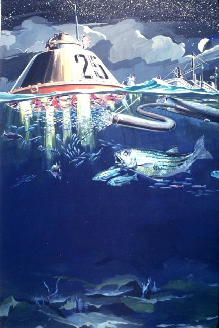 Many fish cannot be harvested with present-day gear because the species are scattered over wide areas Picture