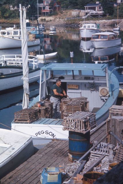 Lobsterman preparing traps and floats before leaving port Picture