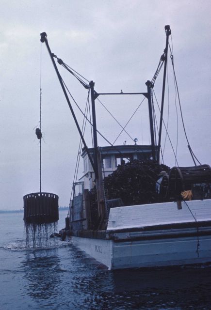When the tide is high, the tubs are lifted and emptied aboard vessel Picture