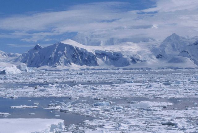 The icy coastal Antarctic Picture