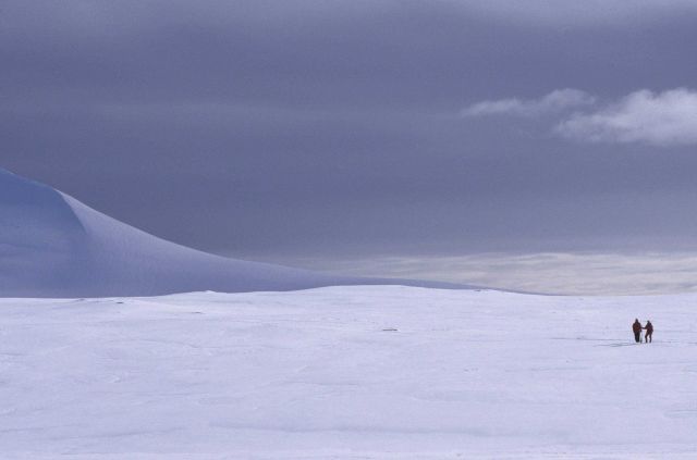 Scientists on a trek across the ice and snow give scale to an Antarctic landscape. Picture