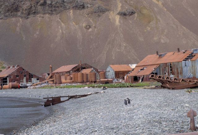 A large iceberg with an ice cave in Lalamon Fjord Picture