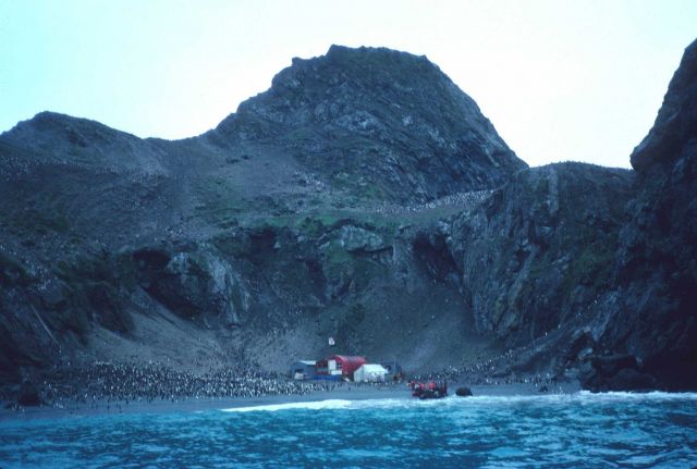 The Seal Island field camp in 1992. Picture