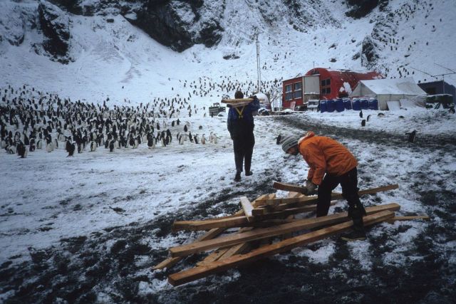Construction at the Seal Island field camp. Picture