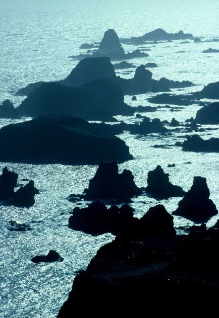 The volcanic origins of the South Shetland Islands are evident in these rocky, inshore formations. Picture