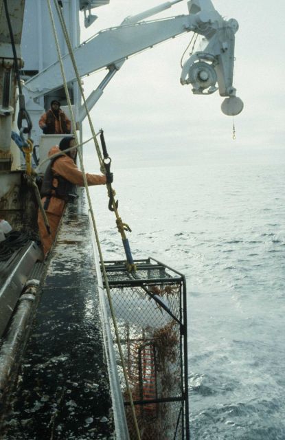 Crab trap. Picture