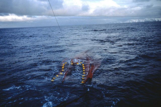 The trawl net deployed from the R/V YUZHMORGEOLOGIYA Picture