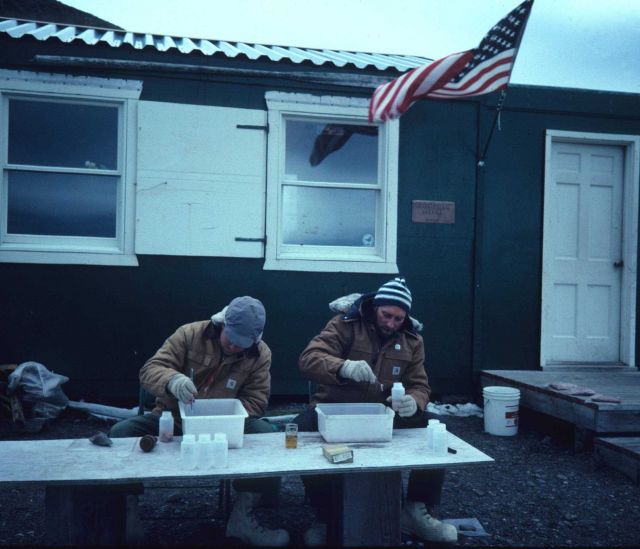 Krill sorting outside the Copacabana field station. Picture
