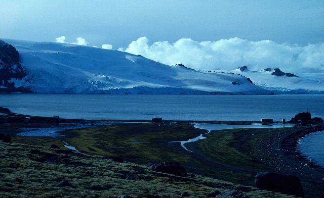 The north shore of King George Island in 1981. Picture