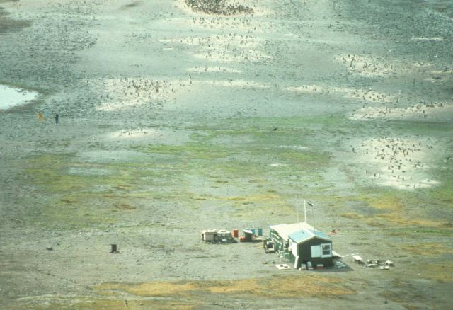Copacabana field station, King George Island. Picture