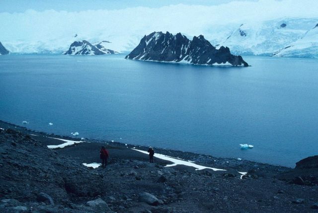 The coast of King George Island in 1995. Picture
