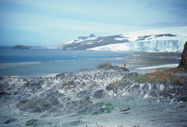 The unexpectedly colorful Antarctic landscape. Picture