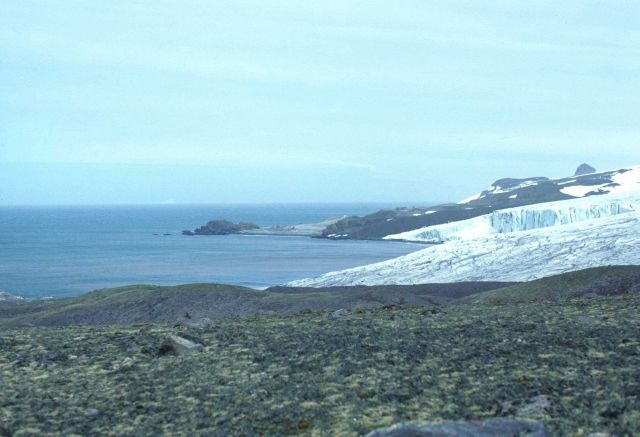 A glacier meets the sea, South Shetland Islands. Picture