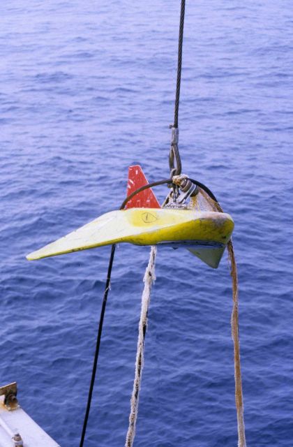 Acoustic fish. Picture