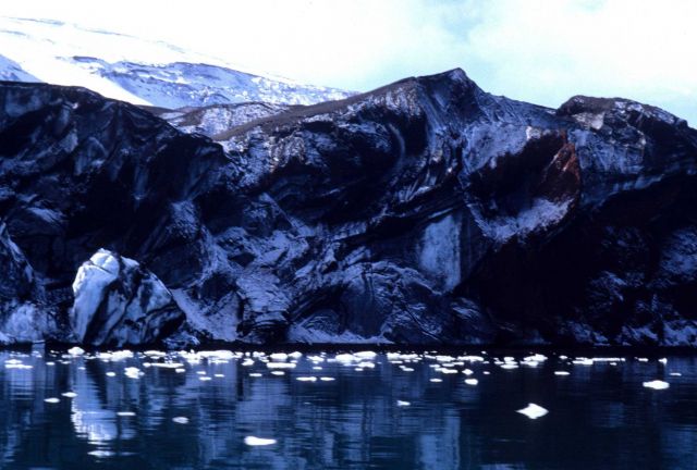 The volcanic origins of the South Shetland Islands are evident in this cliffside formation. Picture