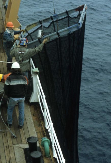 A trawl net, used to collect zooplankton and pelagic fish samples. Picture