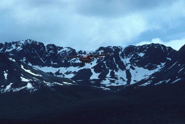 A small aircraft doing aerial surveys in South Georgia Island. Picture
