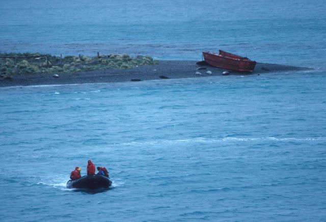 An AMLR small boat makes its way toward the Seal Island field station from the nearby R/V Surveyor. Picture