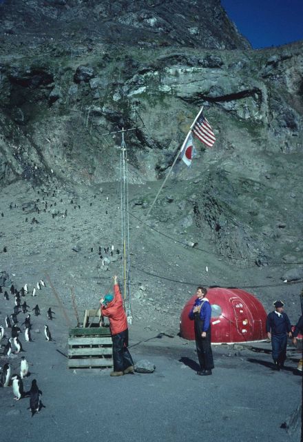 The American and Japanese flags are flown at the Seal Island field station. Picture