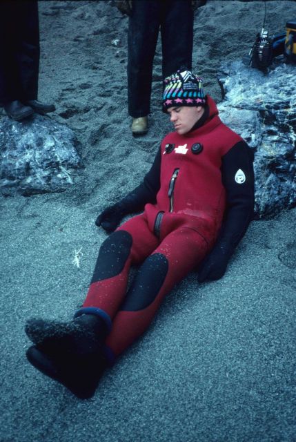 An Antarctic fur seal, with warm winter coat. Picture
