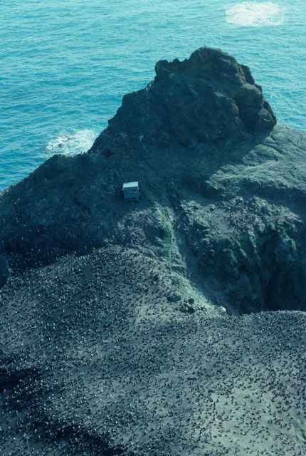 The penguin observation blind, where AMLR scientists can watch penguins without disturbing their activities, was built in 1989. Picture