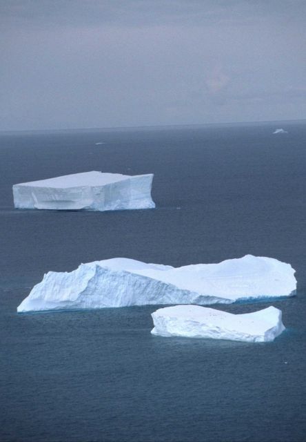 Tabular icebergs in the Southern Ocean. Picture