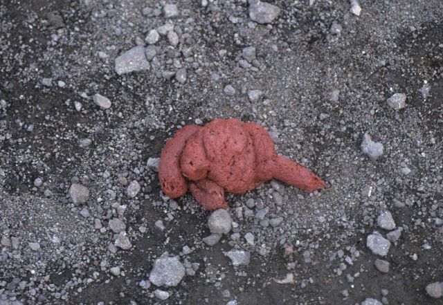 Krill remains give a fresh fur seal scat a pinkish color. Picture