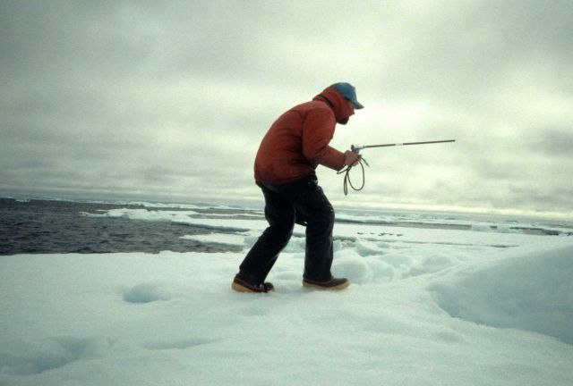 An AMLR scientist with telemetry equipment at Seal Island, South Shetland Islands. Picture