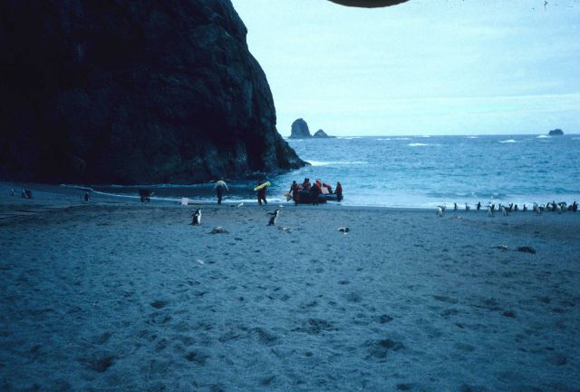 A Zodiac brings supplies to the AMLR field station at Seal Island. Picture