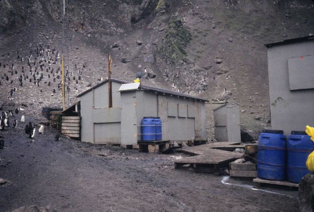 The AMLR field station at Seal Island. Picture