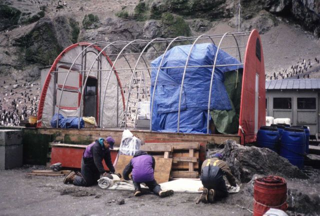 Constructing the Weatherport living structure at Seal Island. Picture