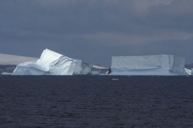 Tabular icebergs in the Southern Ocean, South Shetland Islands. Picture