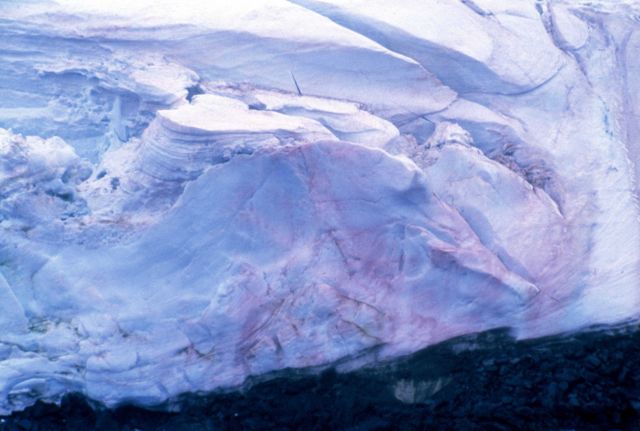 Pink ice, South Shetland Islands. Picture