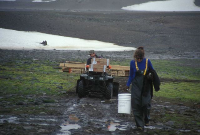 Bringing supplies overland to the Cape Shirreff field camp on Livingston Island, South Shetland Islands. Picture