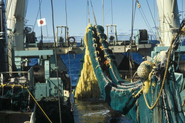 Midwater trawl net on Japanese krill trawler that was inspected by the AMLR Program off Elephant Island. Picture