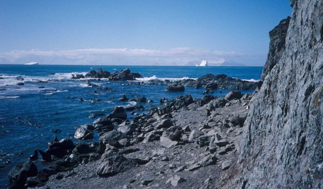 The rocky shores of Seal Island, Antarctica. Picture