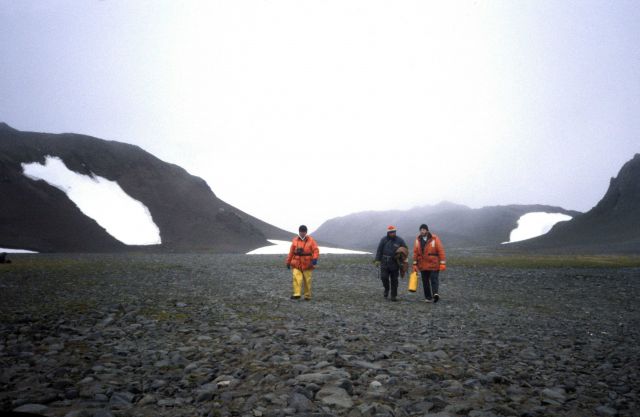 Roger Hewitt and two AMLR scientists on Livingston Island. Picture