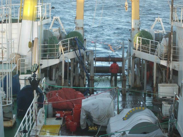 A Russian crew member watches the fish net as it is deployed off the stern of the ship. Picture