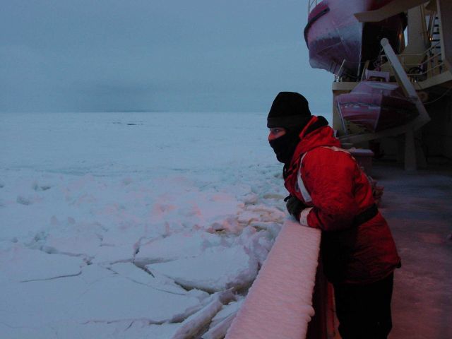 A scientist looks out over the icy seas, South Shetland Islands. Picture