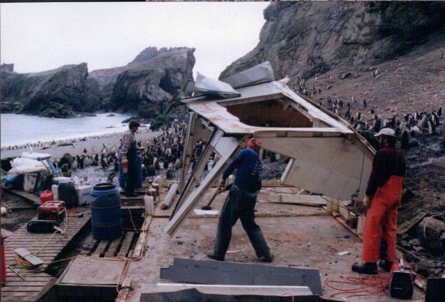 AMLR scientists break down the camp at Seal Island Picture