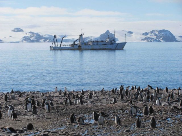 The R/V Moana Wave off the Copacabana field station, King George Island. Picture