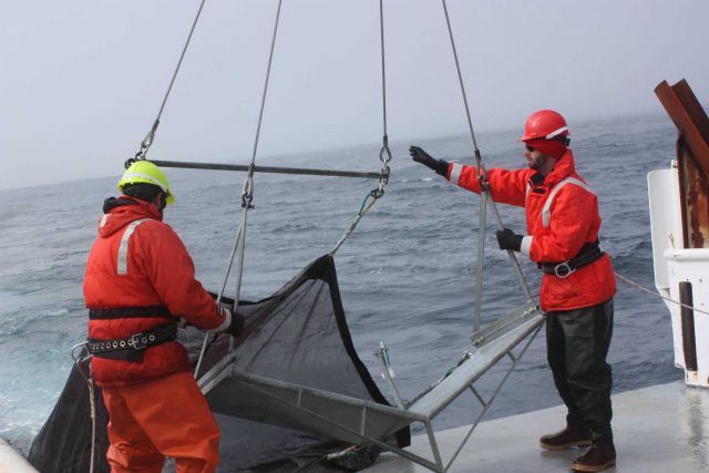 A net is deployed to collect zooplankton samples. Picture