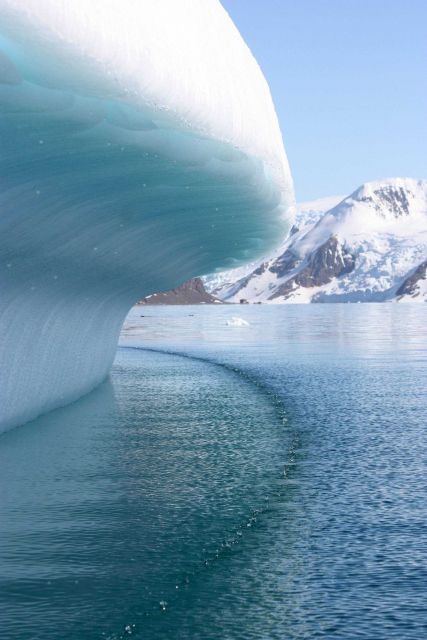 The edge of an iceberg, melting in the Austral summer. Picture