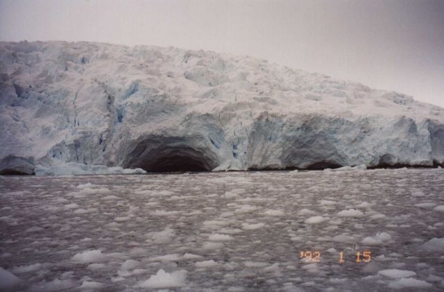 Glacier's edge, South Shetland Islands. Picture