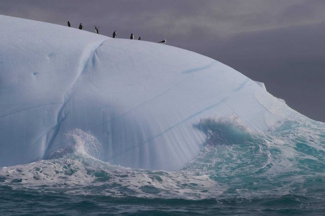 An iceberg in the South Shetland Islands. Picture