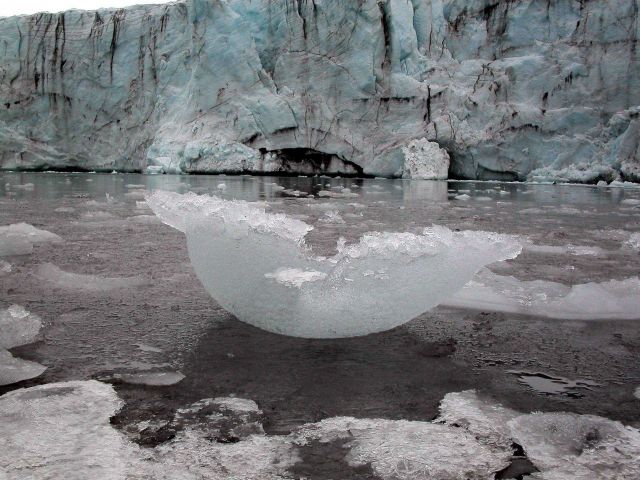 Ice melting at the foot of a glacier, Admiralty Bay, King George Island. Picture