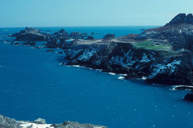 The coast of Seal Island, Antarctica, with grass. Picture